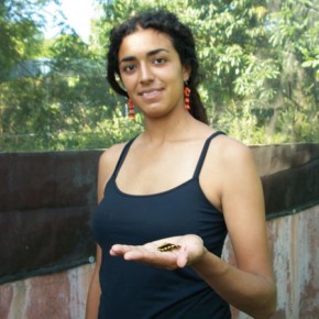 Ana Luisa Figueroa cradling the wing of a giant swallowtail butterfly from the "swallowtail" family.