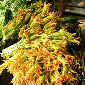 Squash blossoms